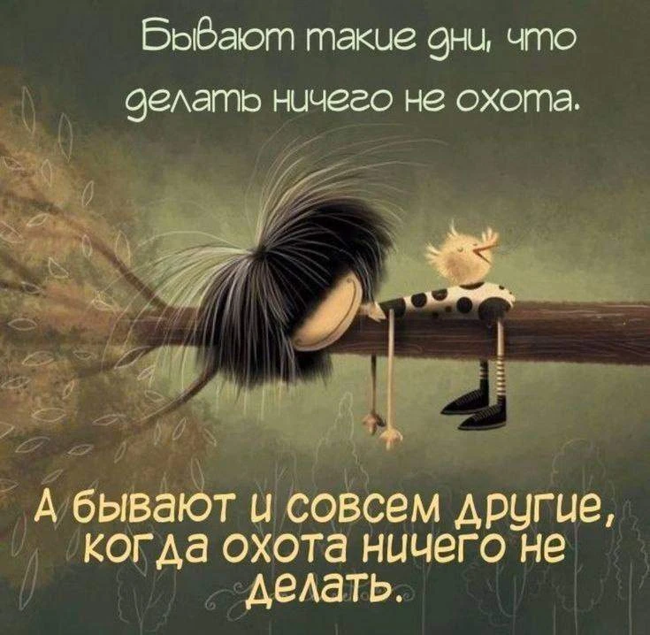 Доброе субботнее! 🙃
