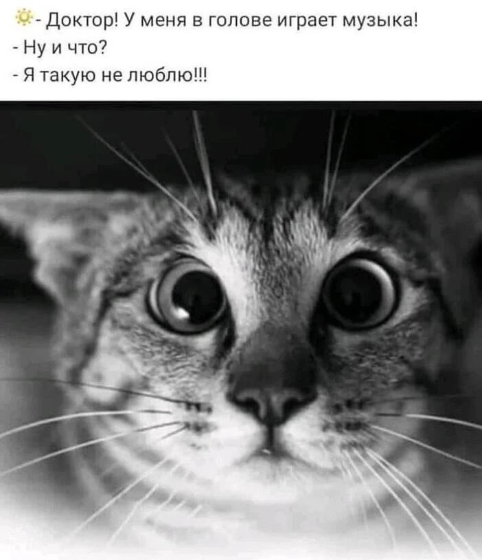 Улыбаемся, хорошим настроением заряжаемся!  😊