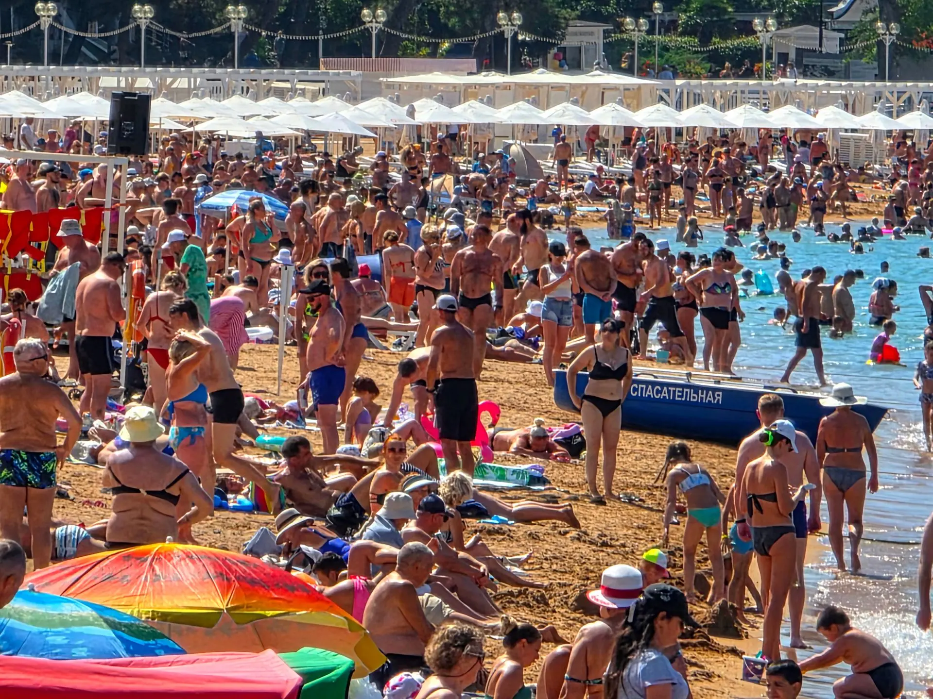 Геленджик прямо сейчас 🏊‍♀️🐋👍