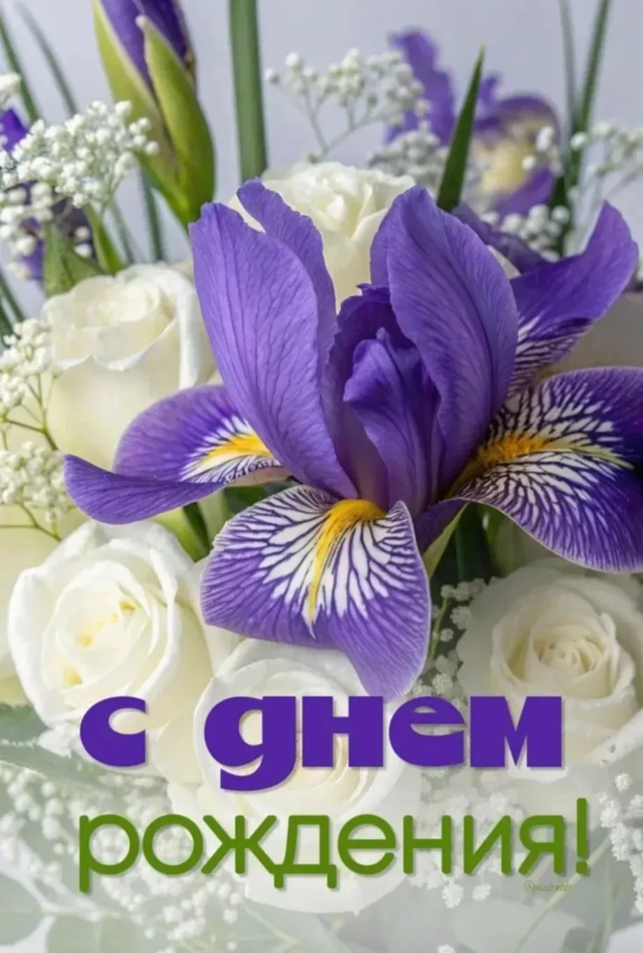 Поздравляем с Днём Рождения Жадовец Ирину Витальевну! 🎉🎂