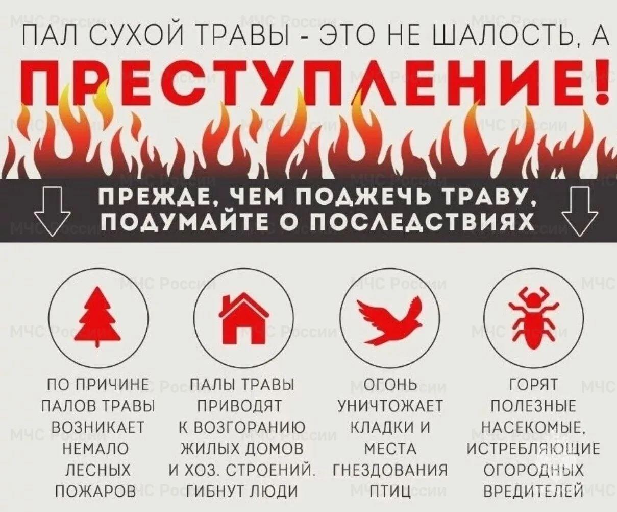 🔥В весенний период на территории Плесецкого муниципального округа Архангельской област...