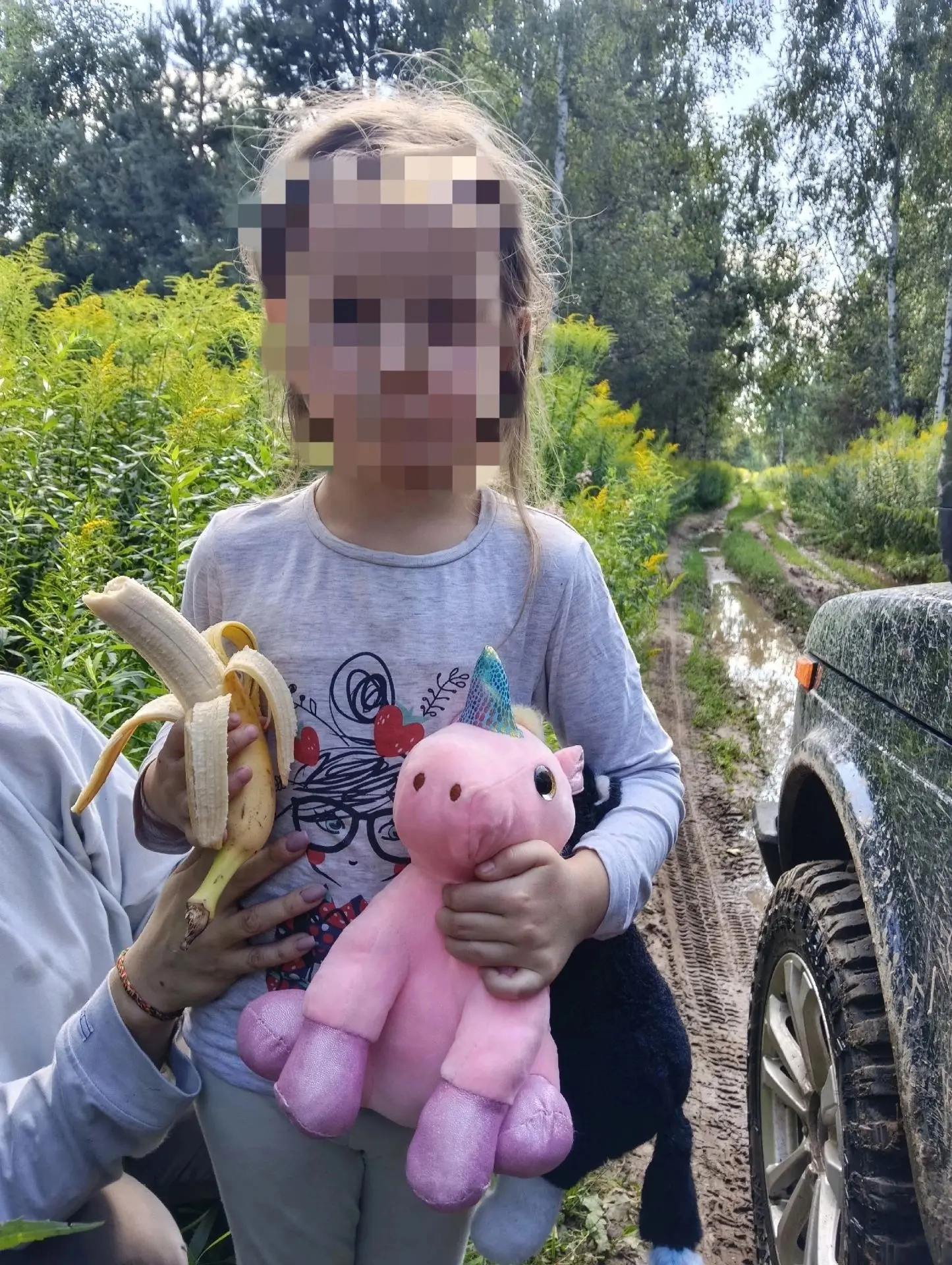 Несостоявшийся резонанс. Как мы нашли 5‑летнюю девочку у большого леса.