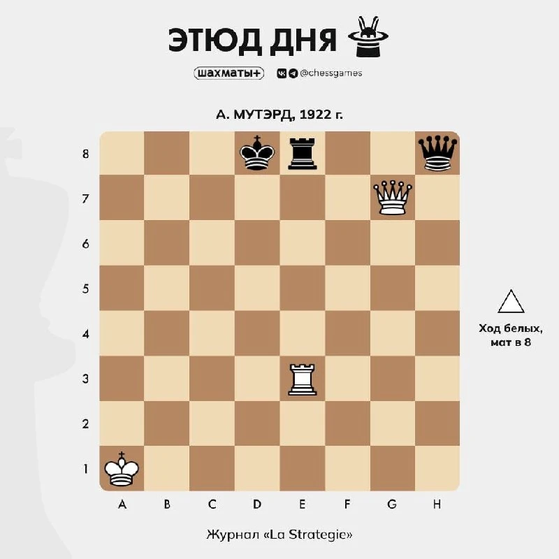 ♟ Этюд дня 🥈 Уровень сложности: средний 📈 Примерный рейтинг: 1600–2000 Lichess  Жан Анатоль Мутэрд —