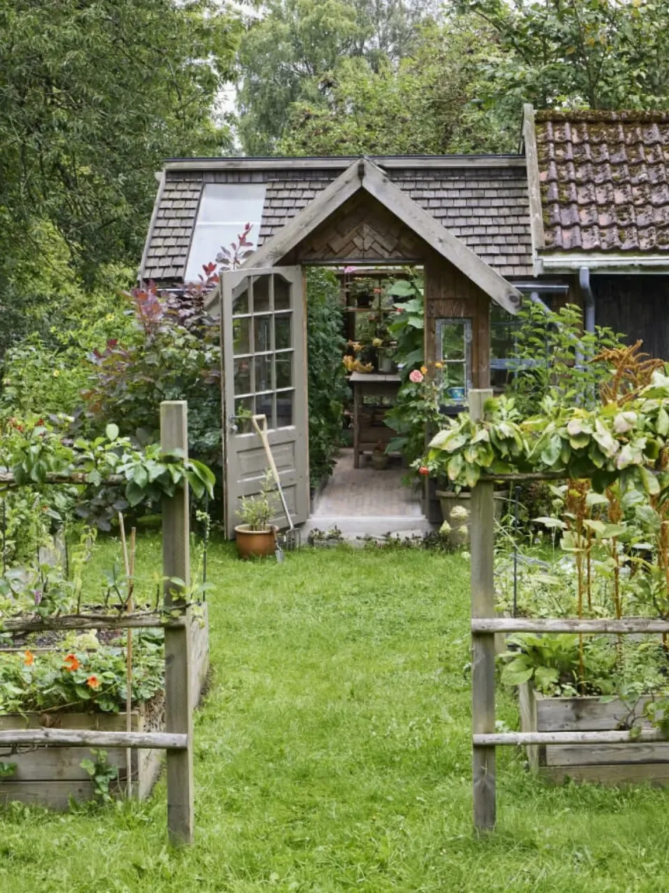 🤩 🤩  HYGGE САД.