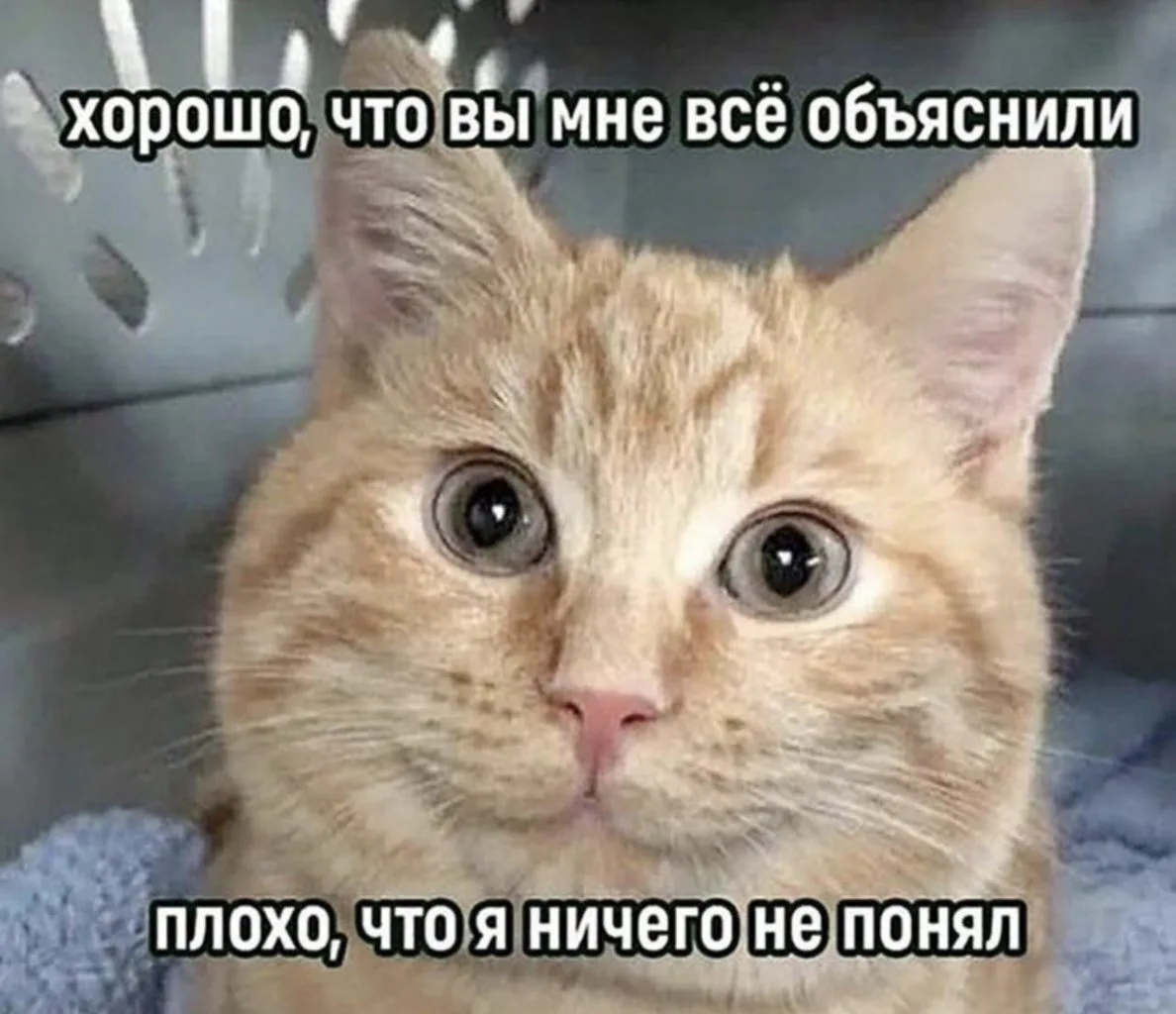 Вежливый), но...