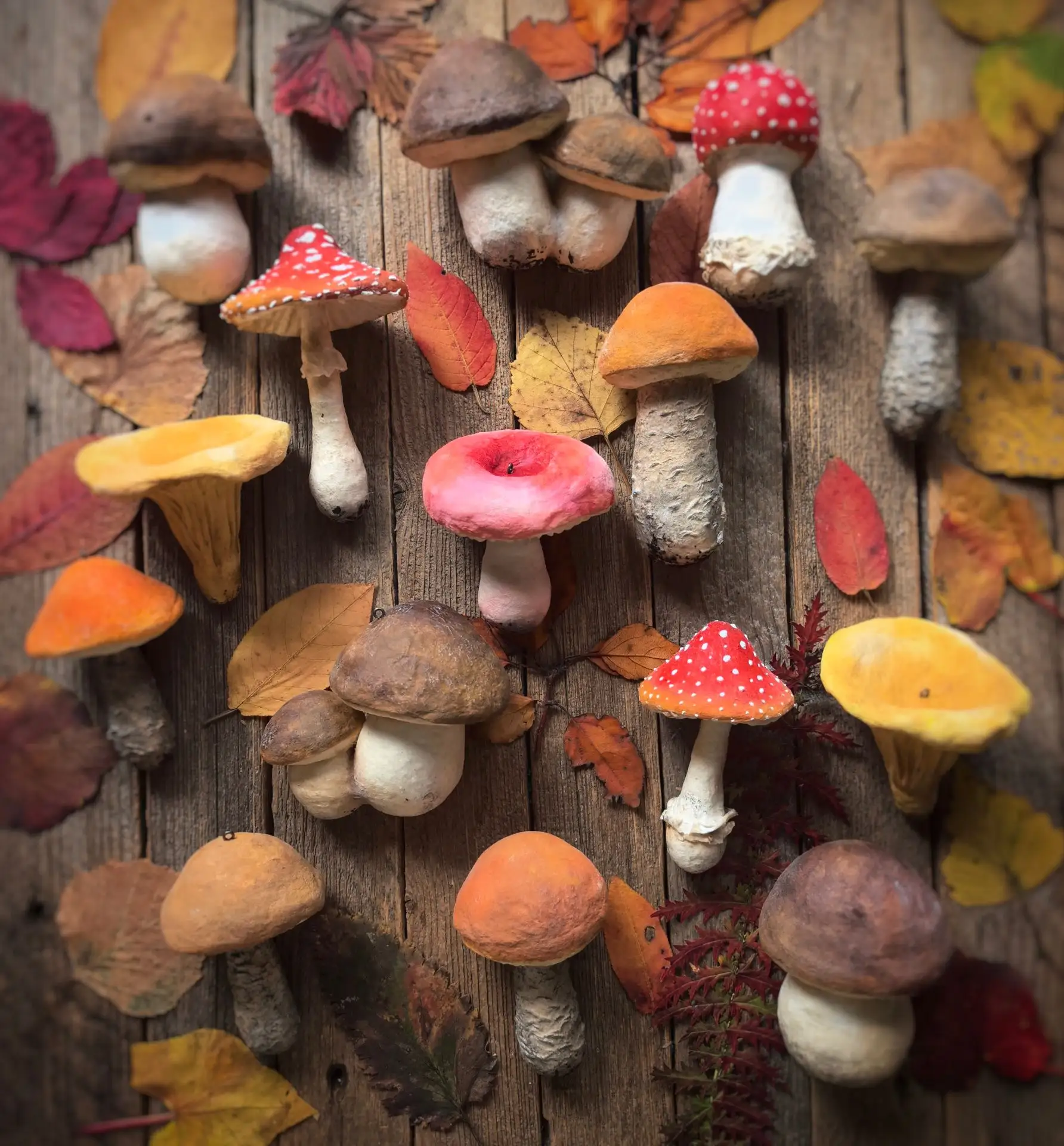 Грибов много не бывает, особенно ватных😁🍄🍄🍄