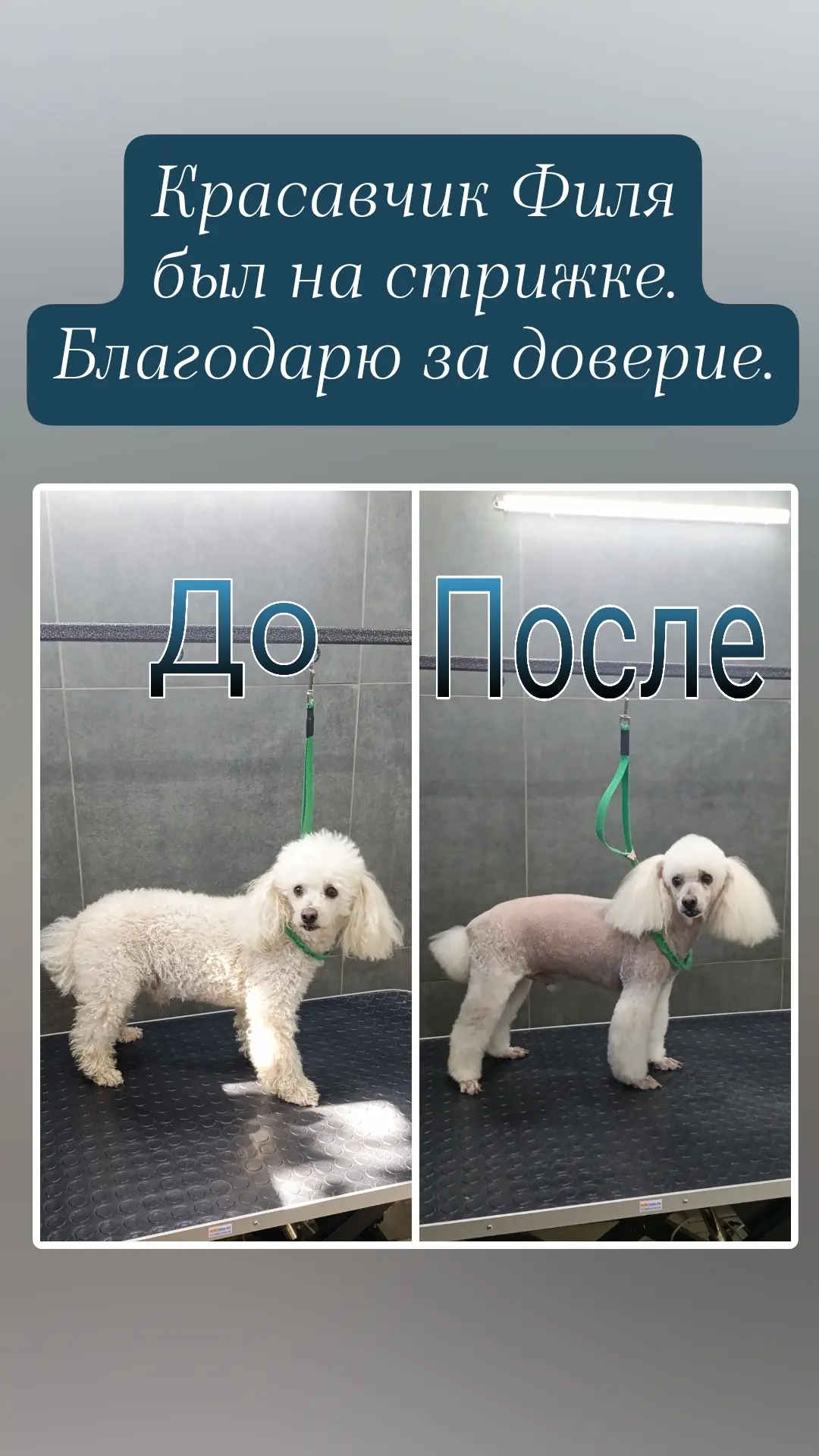Мальчишки были на полном уходе и пошли домой красивыми и довольными 🤗🤗🤗