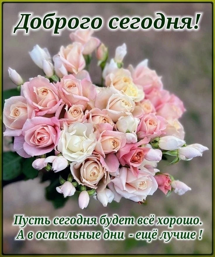 Доброе утро | Подпишись👇🏻