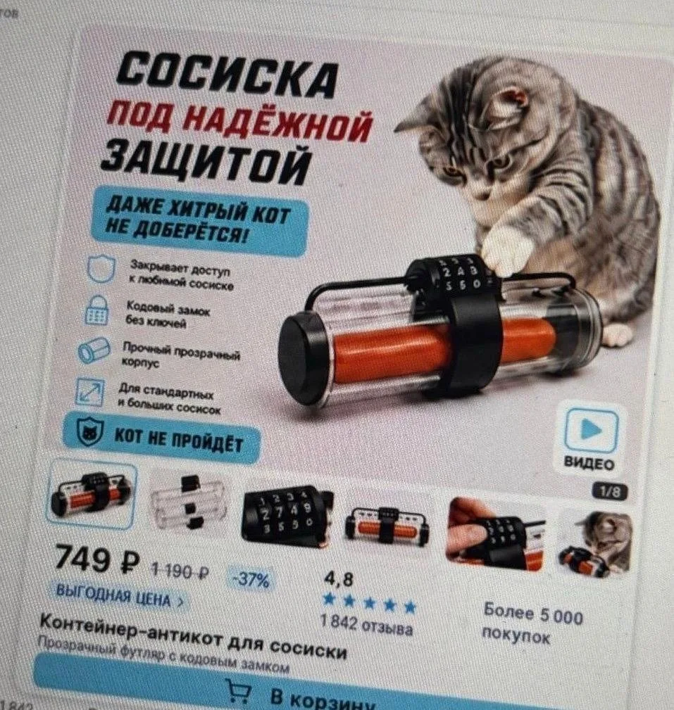 Уровень защиты : кот бессилен😂