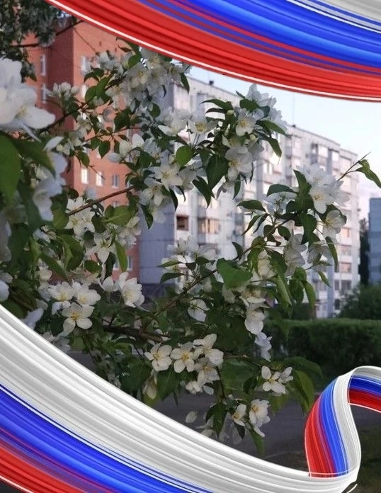 🇷🇺 С Днём России и Праздником города, дорогие друзья!

Усть-Илимск и мы, его жители, – это частичк