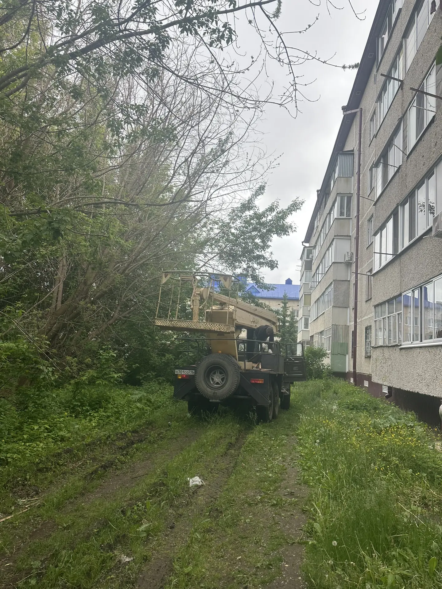 Бутлерова 27 спил  сухого аварийного дерева
