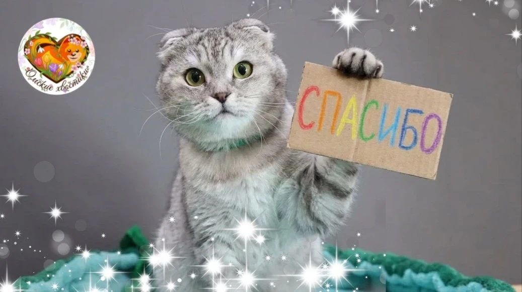 Было трудно, как никогда, но мы справились все вместе! 🎉❤️  Дорогие друзья, сегодня мы хотим поделит