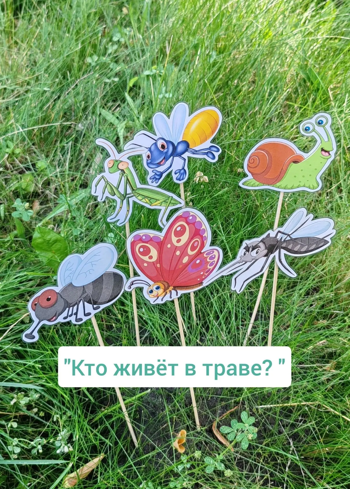 #Кто_живёт_в_траве? 🐜🕷🐞🦋🐝🦗