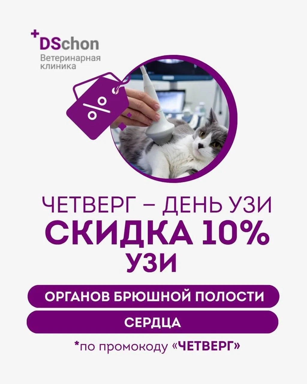 Только по четвергам — скидка 10% на: