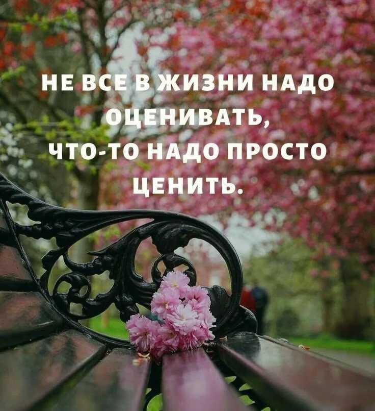 Народная мудрость
Все каналы