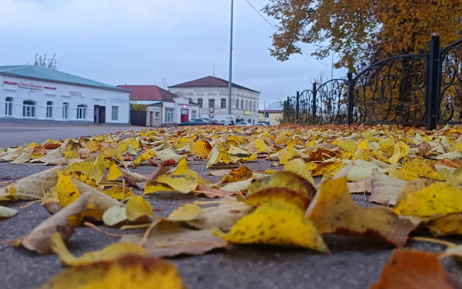 В Макарьев пришло бабье лето