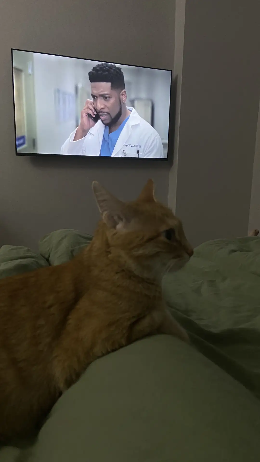 Мяу. Приобщаюсь к искусству 🐾