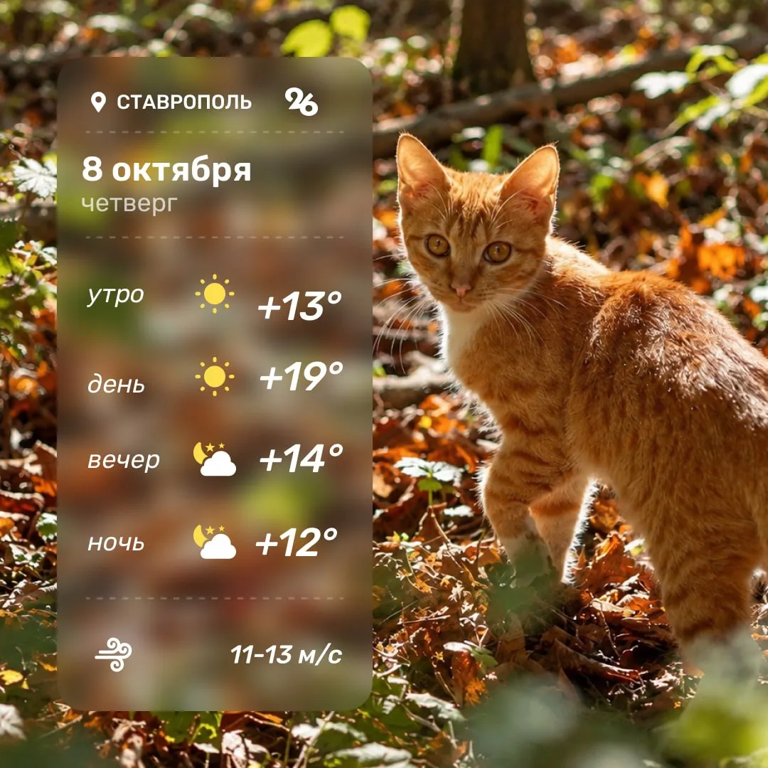 ☀️ Доброе утро и хорошего дня