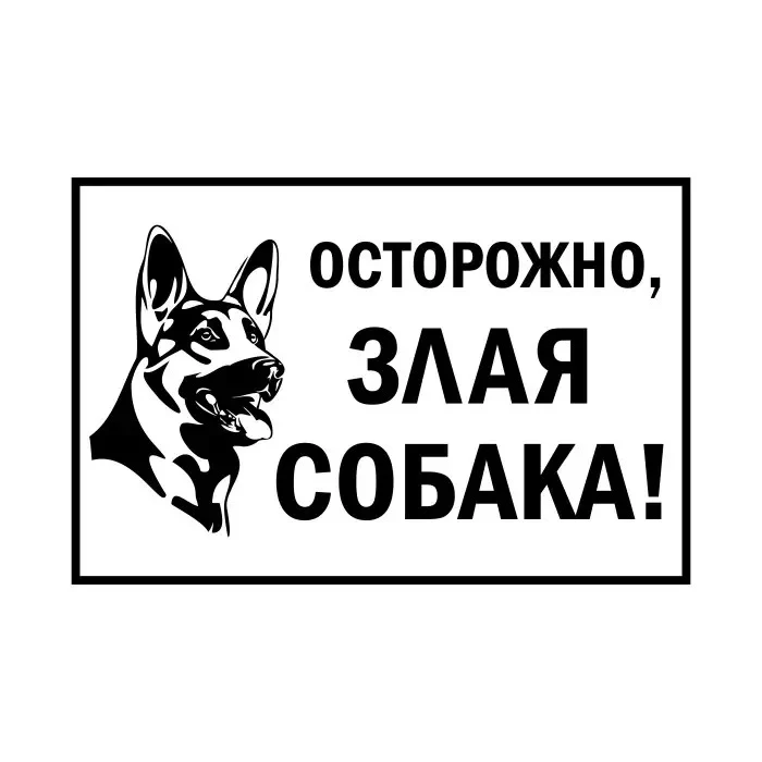 ⚠️ Внимание! Осторожно: злая собака!

Как вести себя рядом с незнакомым животным?

1. Не приближайте