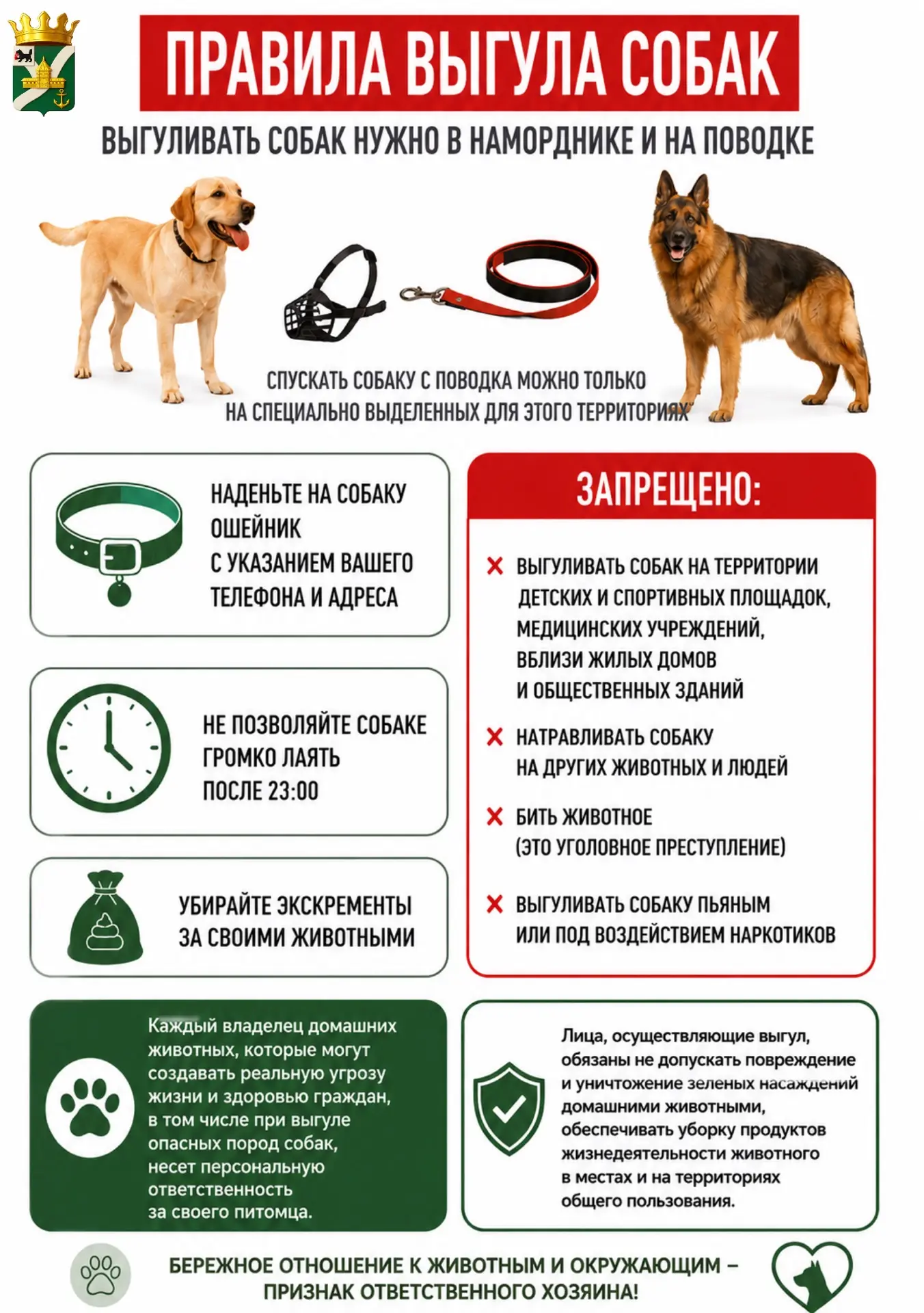 🐕 Ответственный хозяин — спокойствие для всех