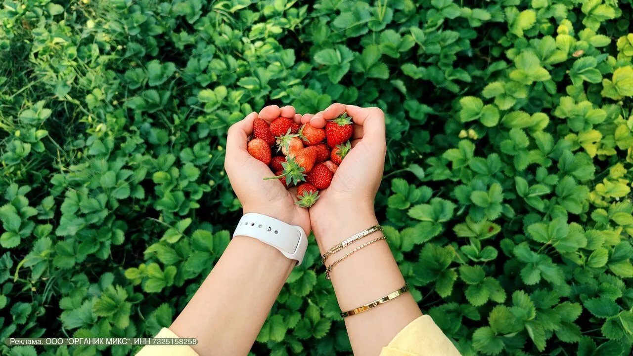 Пусть следующим летом клубника будет крупной и сладкой 🍓