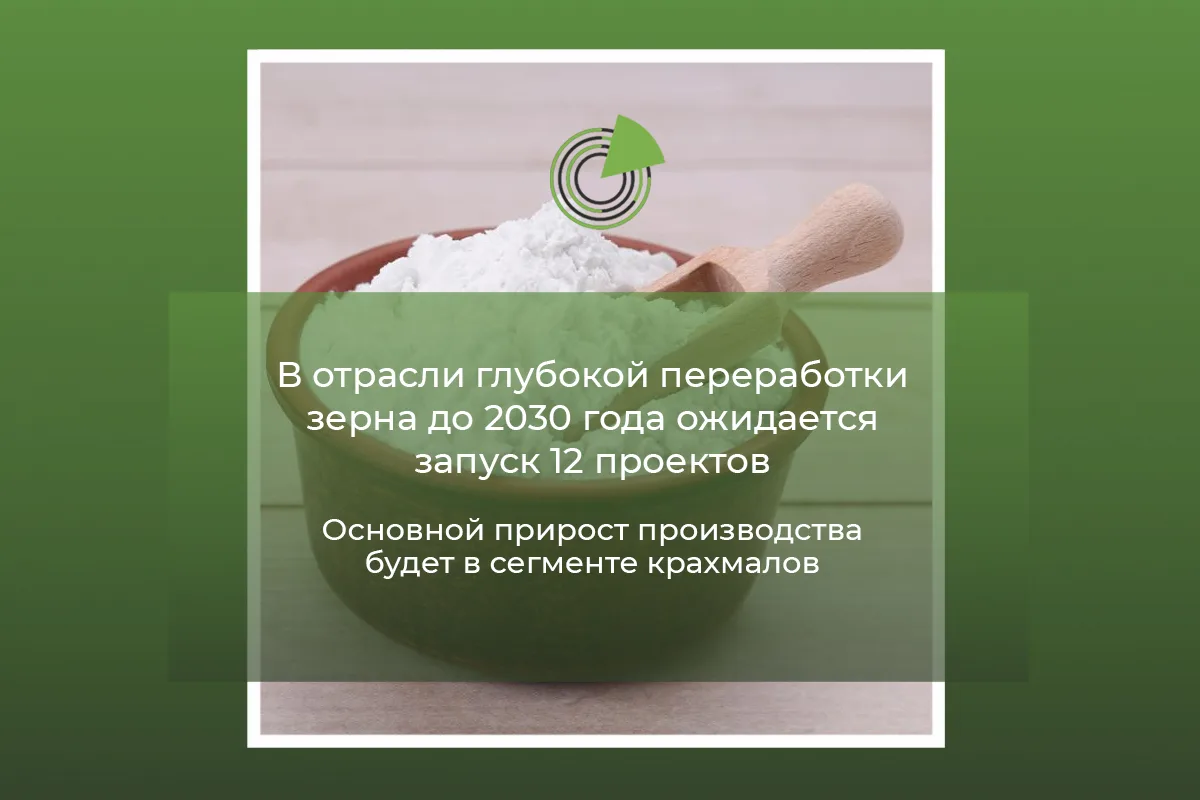 В ОТРАСЛИ ГЛУБОКОЙ ПЕРЕРАБОТКИ ЗЕРНА ДО 2030 ГОДА ОЖИДАЕТСЯ ЗАПУСК 12 ПРОЕКТОВ