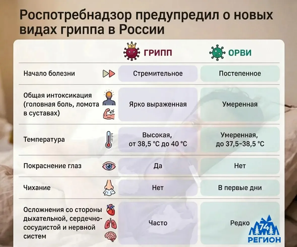 Роспотребнадзор предупредил о новых видах гриппа в России