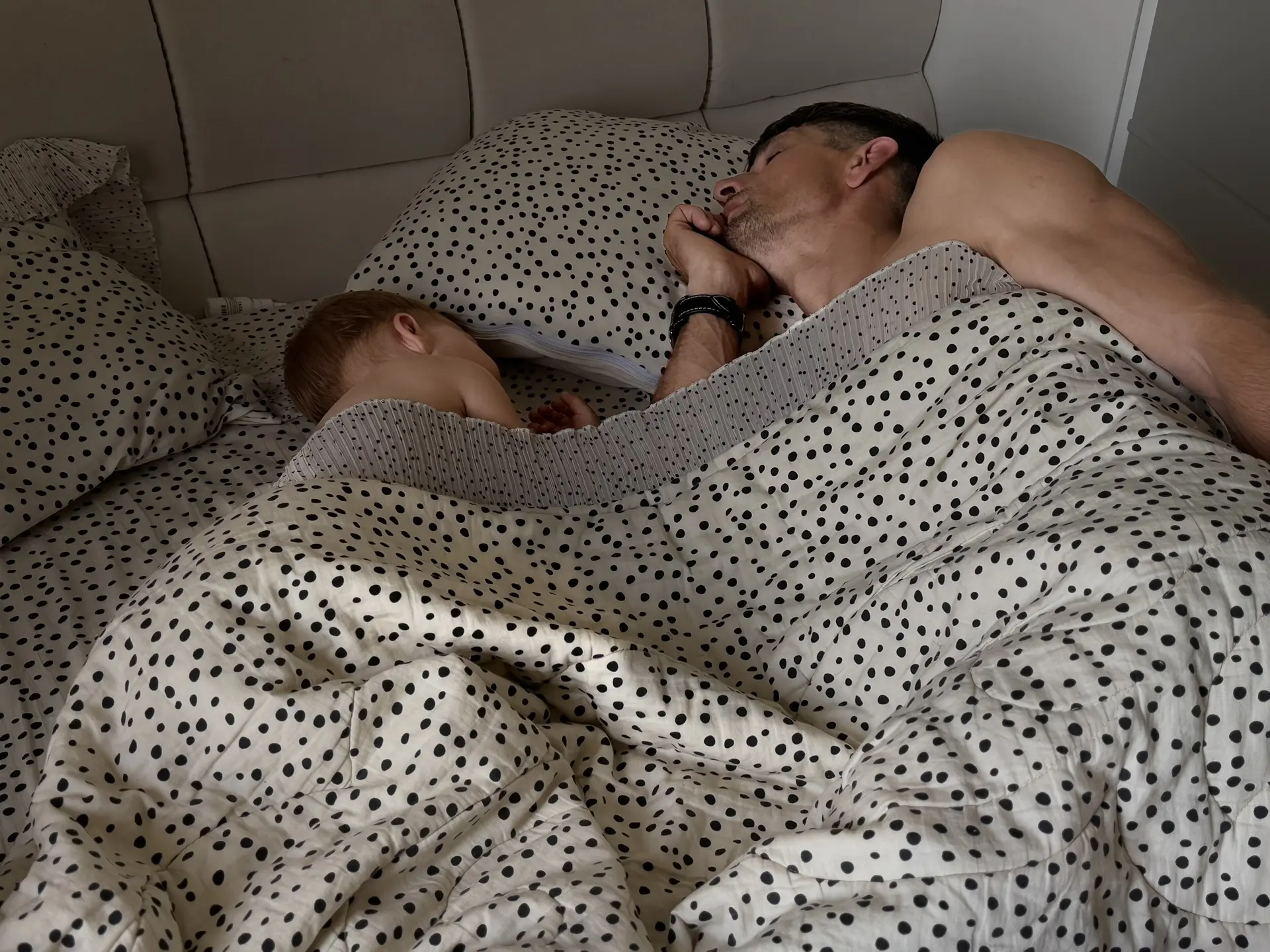 Всем дорого утра…

Моё началось, как обычно, в шесть часов. Платон поднял, сам дальше заснул, а я вс