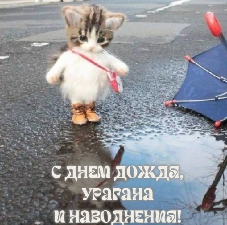 Солнышком насладились? Хватит!