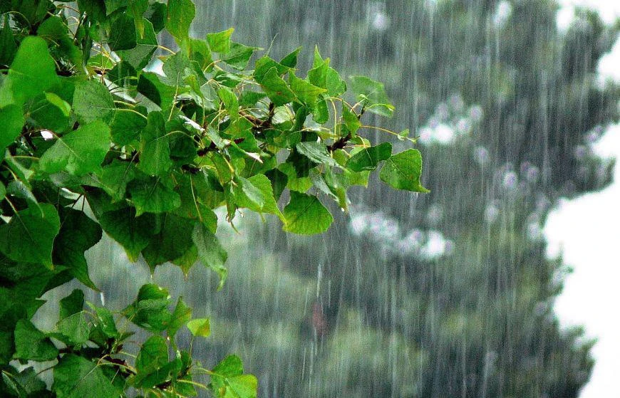 🌧Сильные дожди ожидаются в Татарстане в последний день июля

31 июля в Татарстане ожидается ухудшен