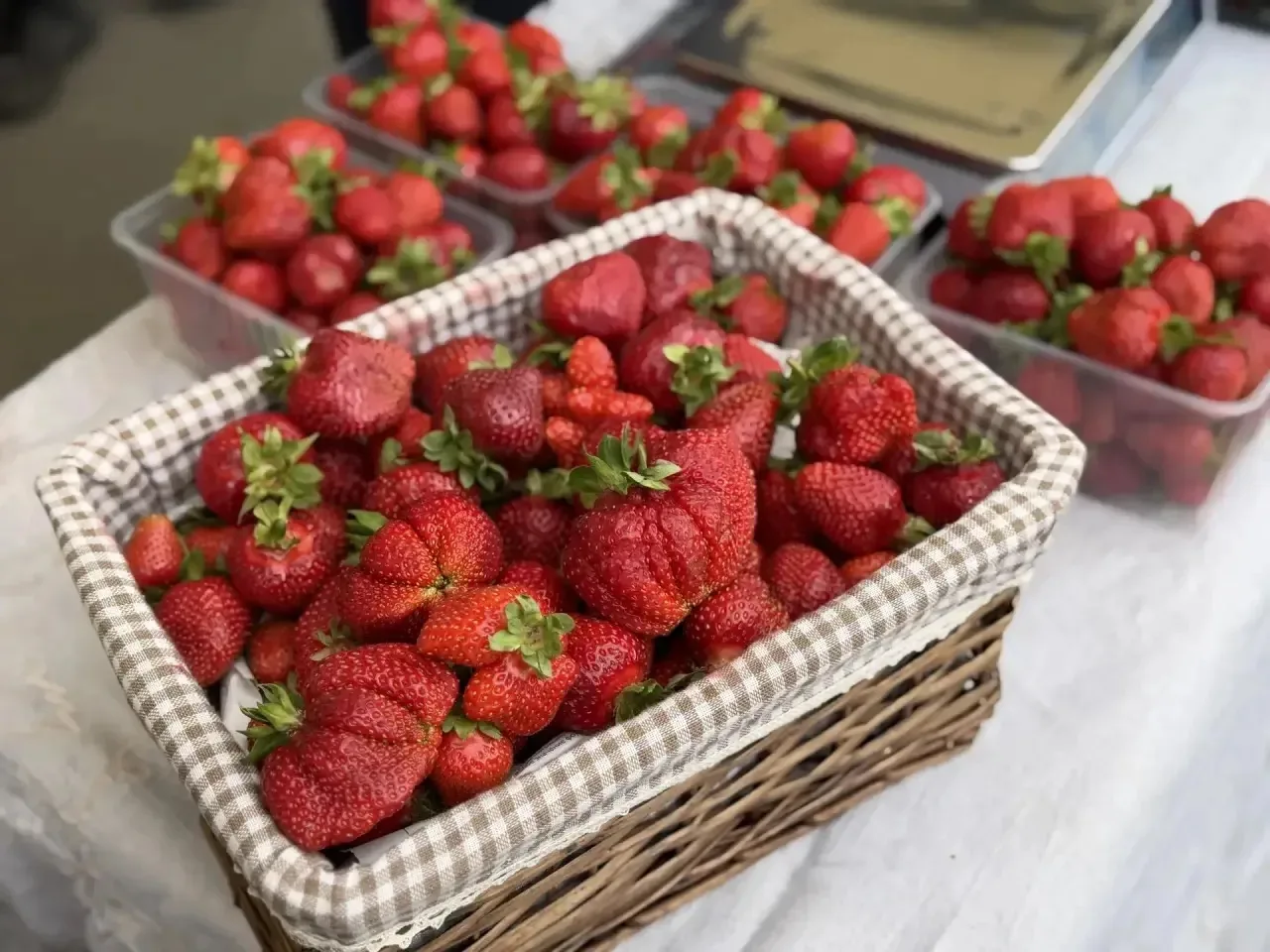 Начинаем выходной день с ярмарки!

🍯 Ассортимент продукции очень широкий: свежее мясо, колбасные и 