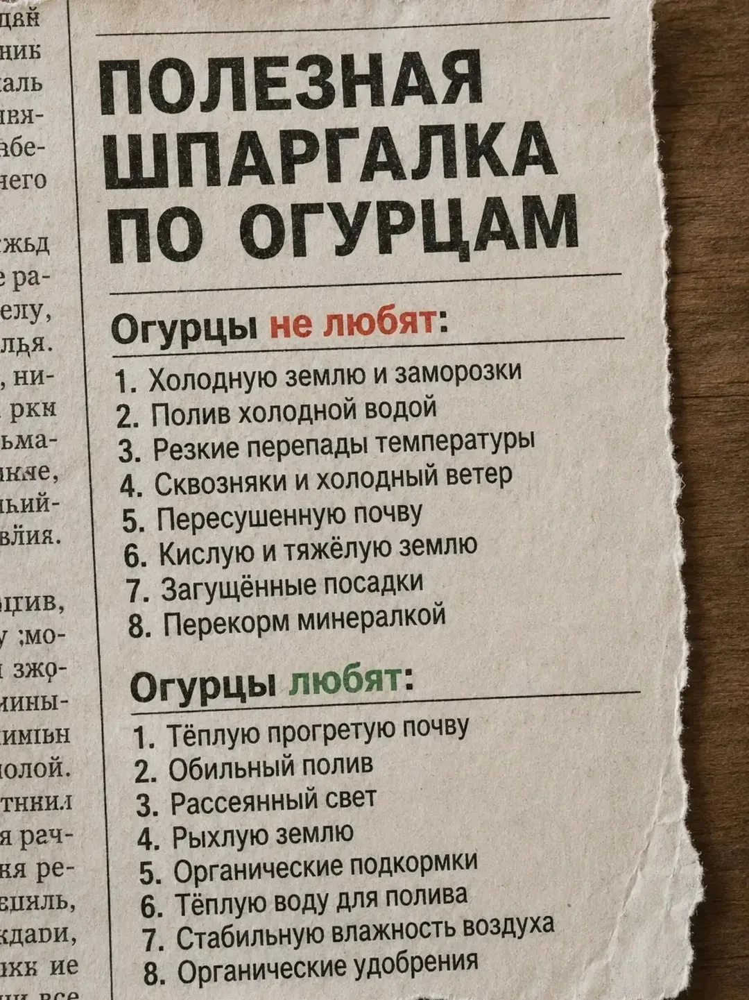 Простая идея для подвесных грядок с поливом.