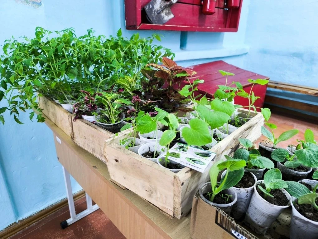 🪅Сегодня в школе прошла 🌱весенняя ярмарка.