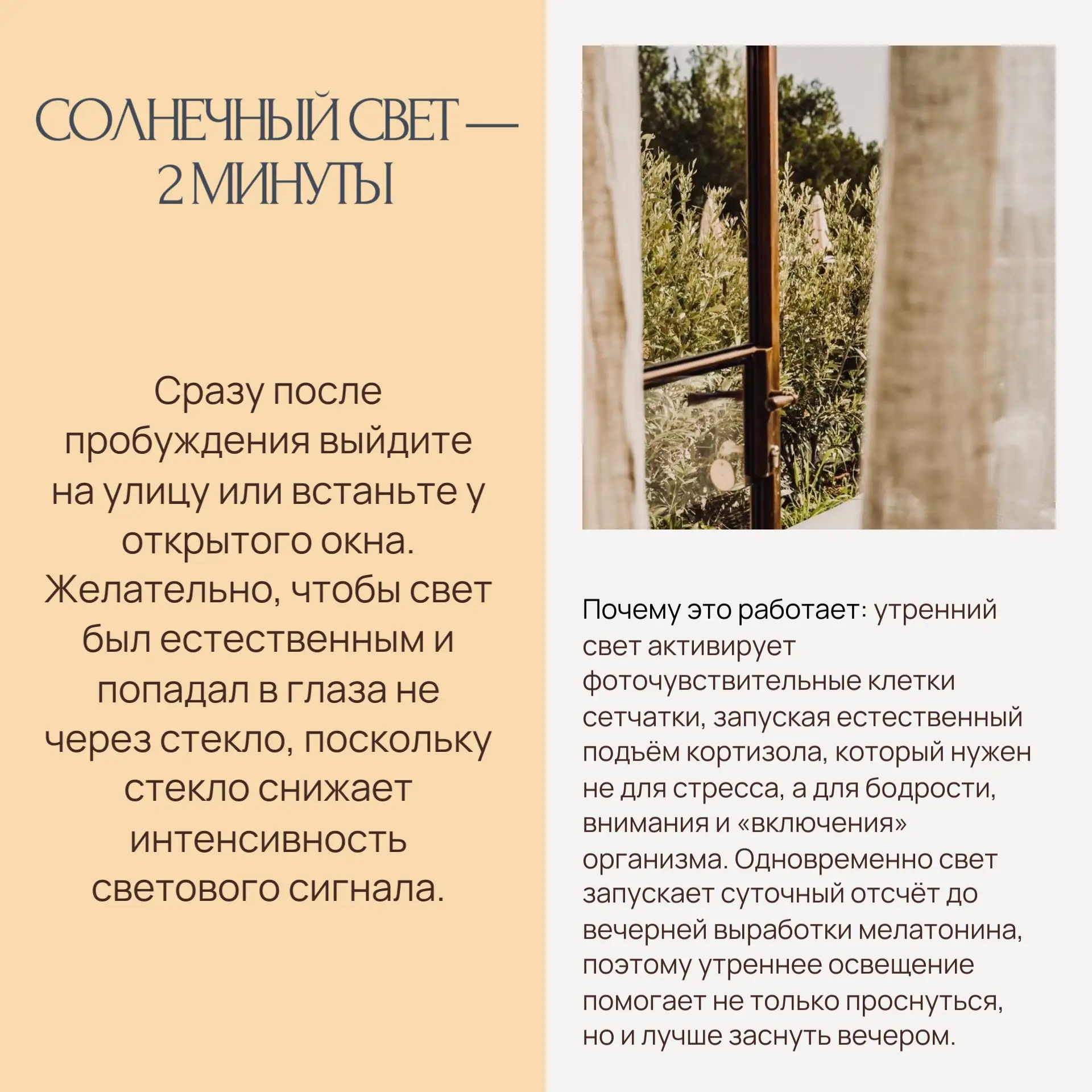 10-минутная утренняя рутина для настройки мозга

Основанная на нейробиологии последовательность дейс