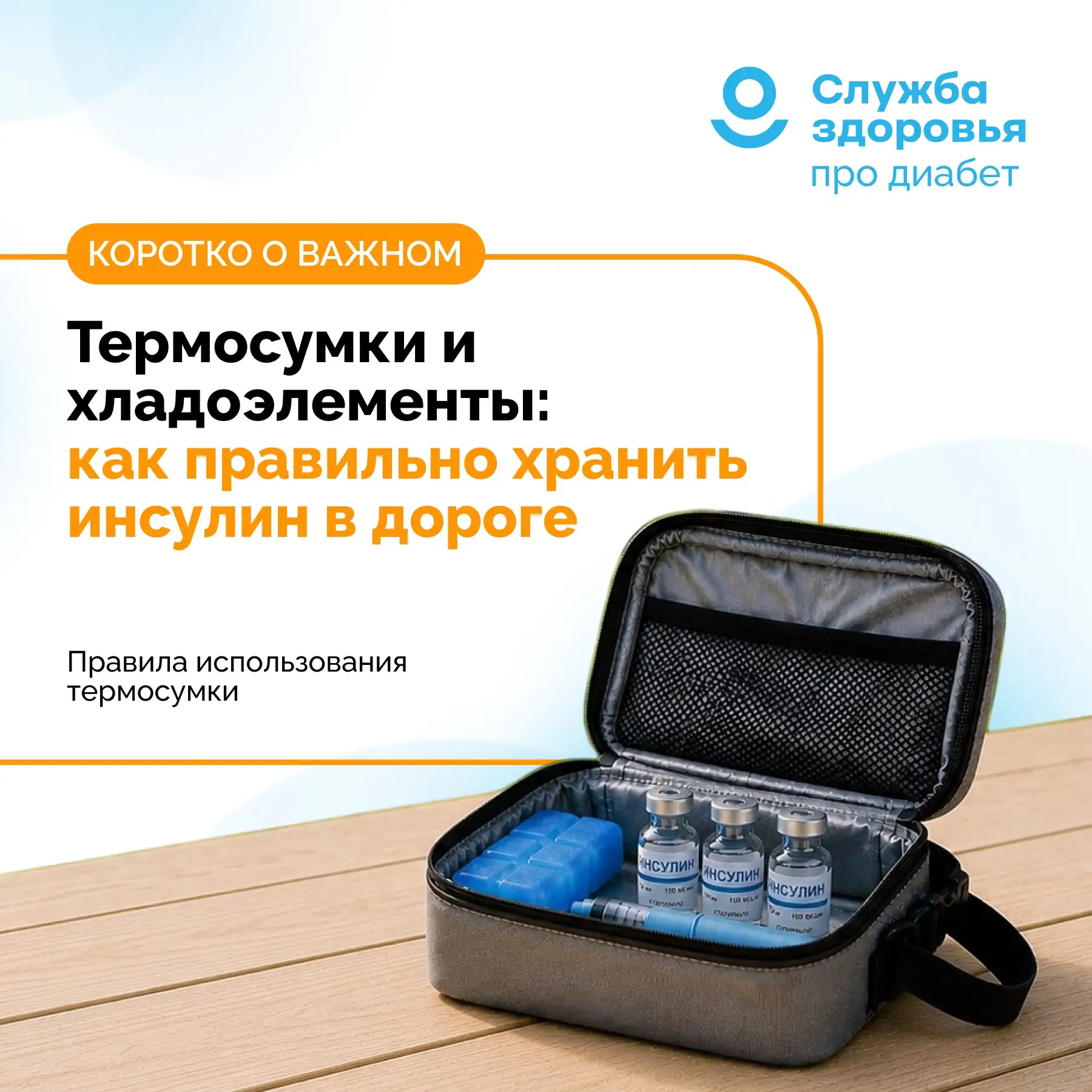 ТЕРМОСУМКИ И ХЛАДОЭЛЕМЕНТЫ: КАК ПРАВИЛЬНО ХРАНИТЬ ИНСУЛИН В ДОРОГЕ