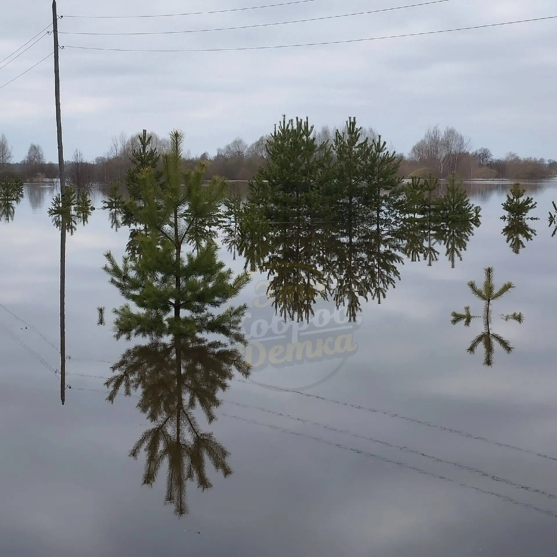 ⚡️ Вчера, в праздничный день  Ехали со стороны Клязьминского городка в Ковров. Клязьма разлилась шир