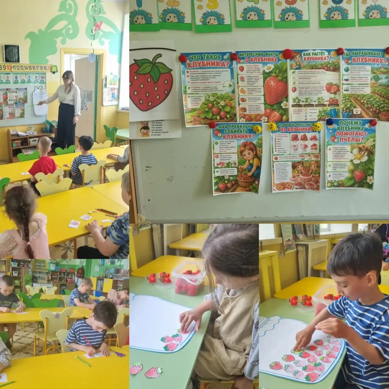 Сегодня старшая группа познакомилась с клубникой ближе: ребята наблюдали, как она растёт, рассматрив