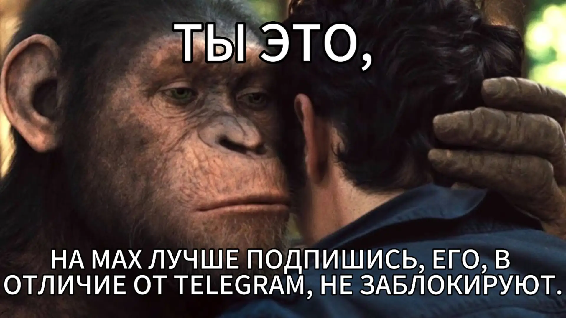 ⚡Подписывайтесь на наш MAX, чтобы не пропустить самое важное

👉

НЕ ЗАБУДЬ ПОДПИСАТЬСЯ ⤵️