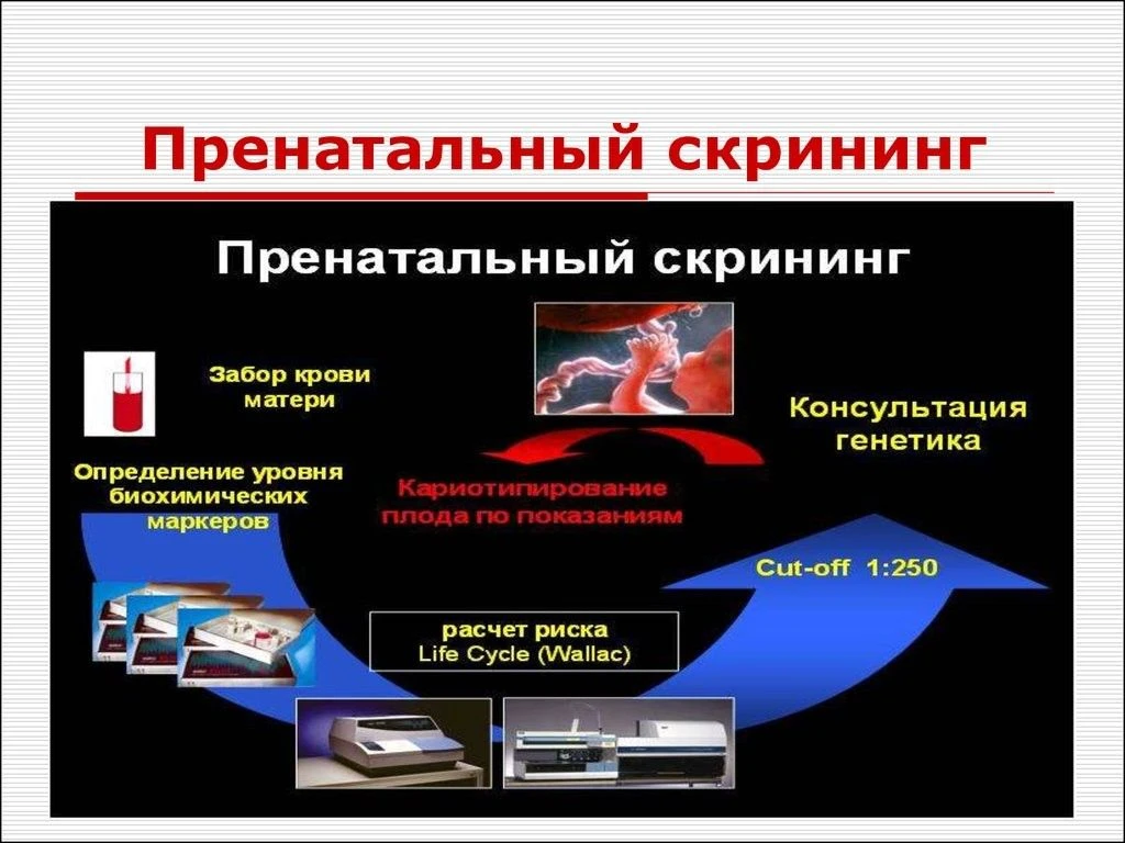 Пренатальное тестирование