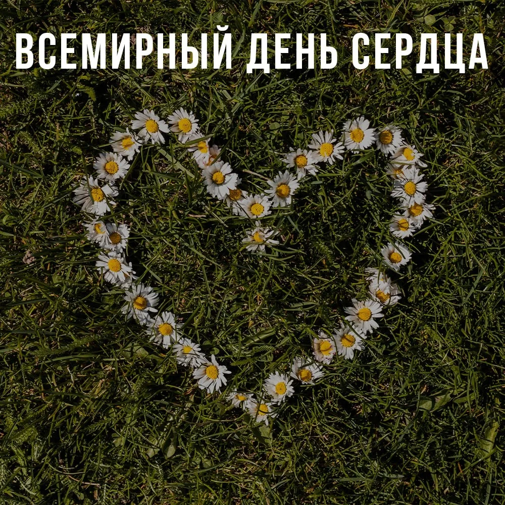 ❤️🎉Со Всемирным днём сердца!