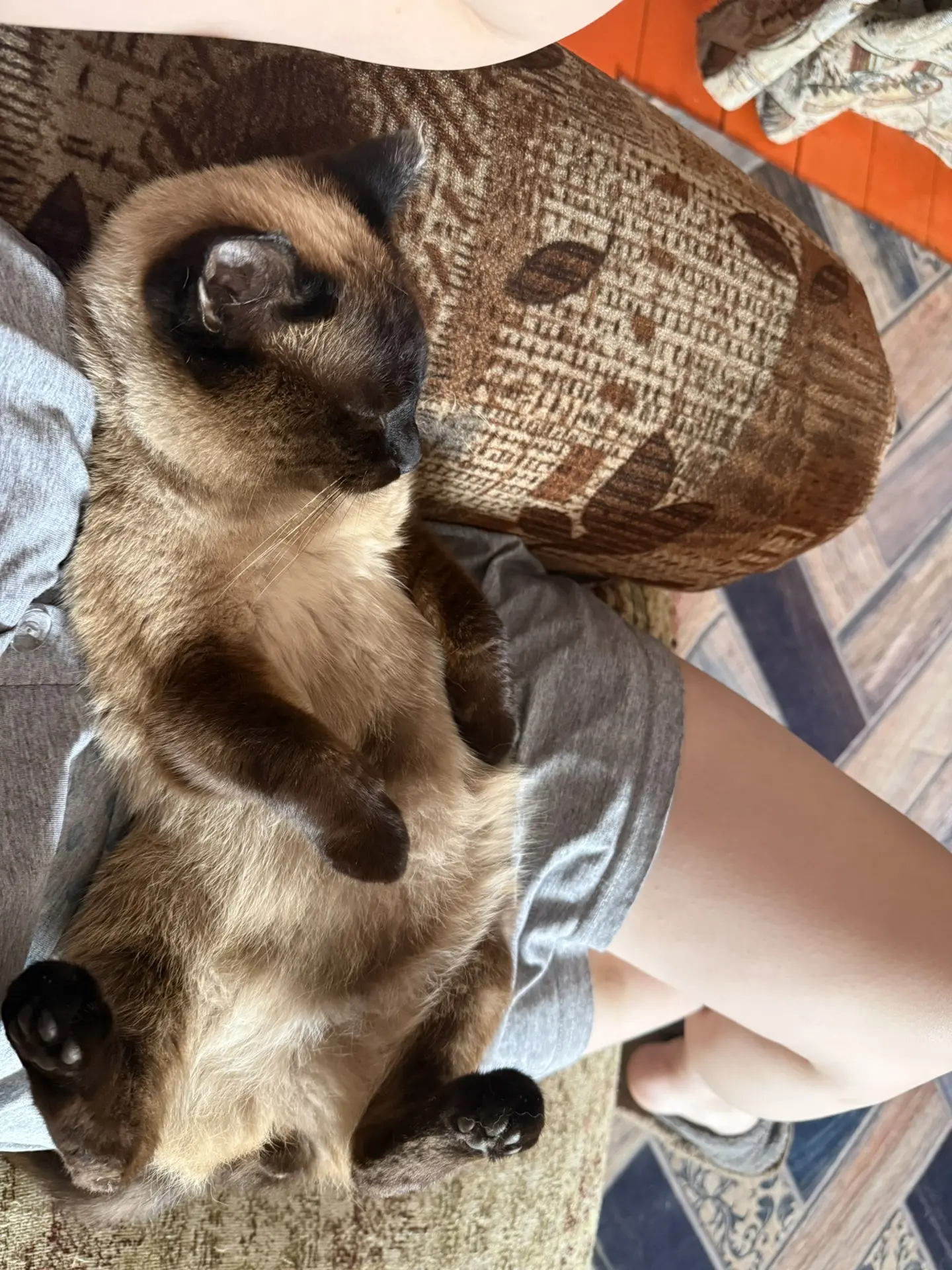 Ну, он явно выиграл эту жизнь😻