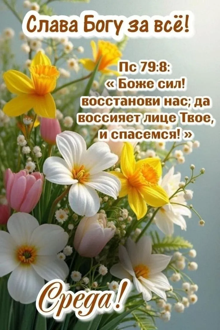 #среда