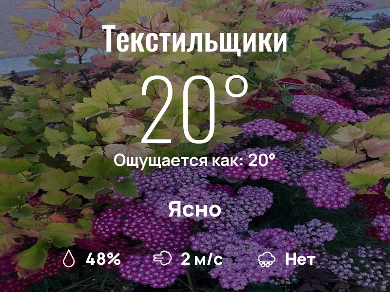 Что с погодой в Текстильщиках?
