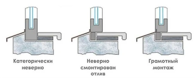 Моменты минувшей недели...