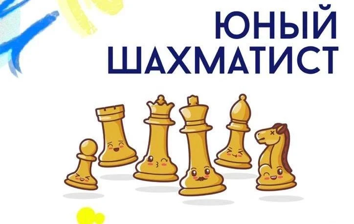 🤔 Шахматы в детском саду? Это рано или в самый раз?