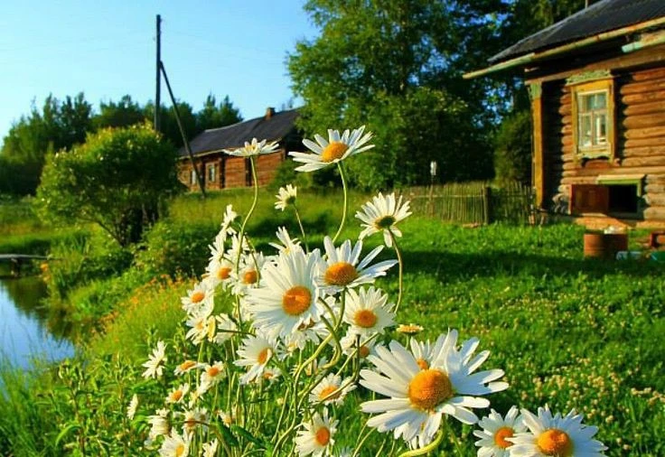 Жара до +31 градуса и кратковременные дожди придут в Самарскую область на неделе с 20 п...