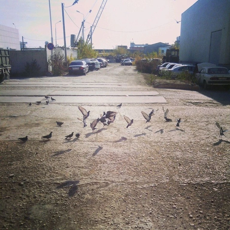 Присылайте Ваши фото в "Предложить пост"