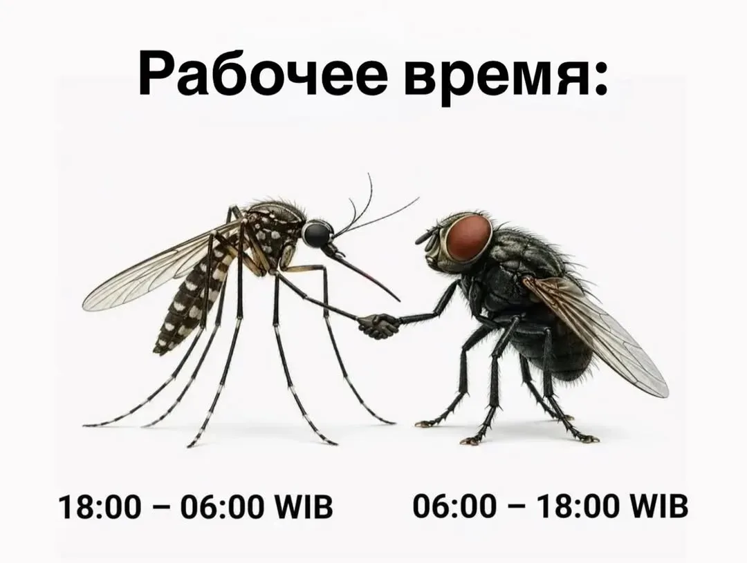 😍ОтКрытка ОтДуши❣️

😜