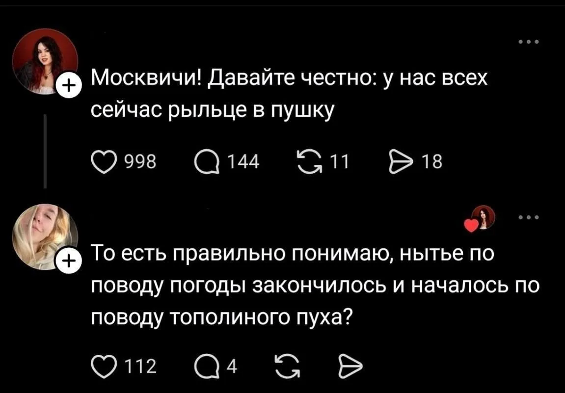 КУКУРУЗА 🌽