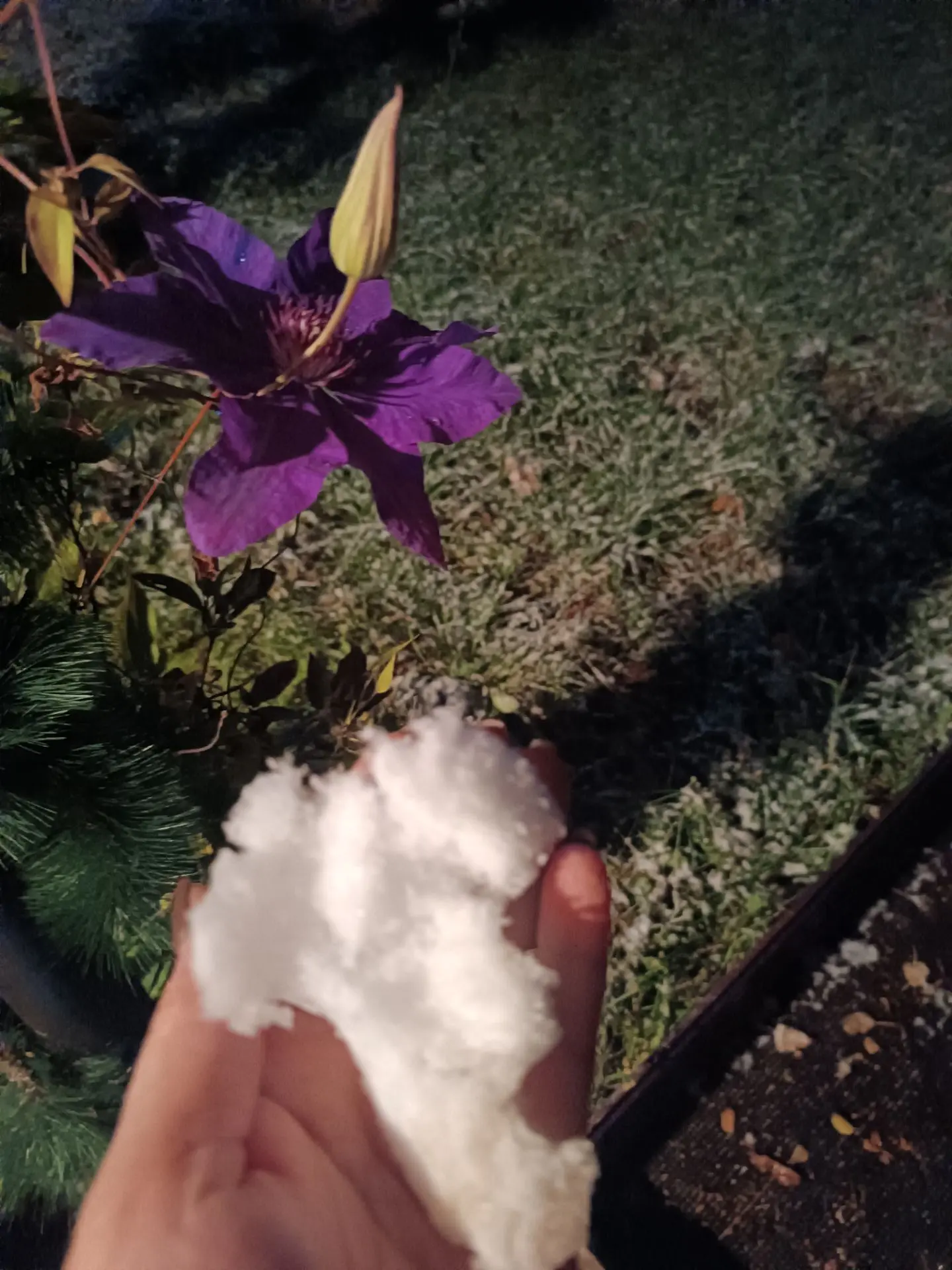 Первый снег ❄